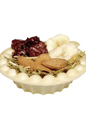 Betrouwbaar Vitakraft Knaagdiergebakje met Fruit