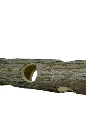 Rechtstreeks Van De Fabrikant Back Zoo Nature Bark Tunnel Large