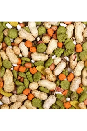 Betrouwbaar JR Farm Hamstersnack 100 Gram