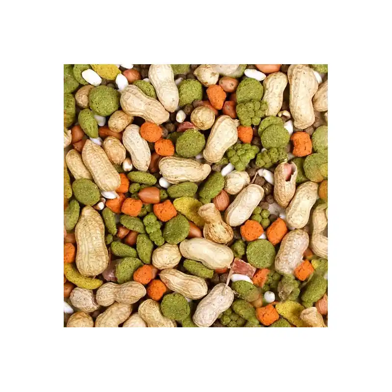 Betrouwbaar JR Farm Hamstersnack 100 Gram