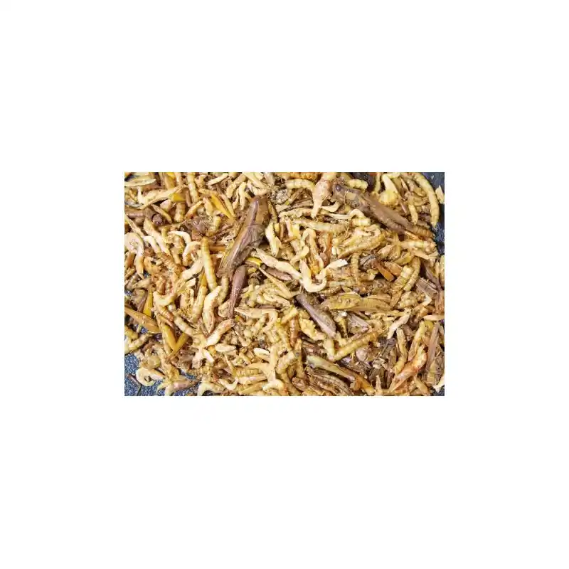 Hoge Kwaliteit JR Farm Proteïne Cocktail 10 Gram