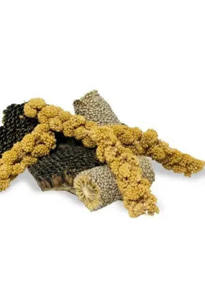 Bestseller JR Farm Knabbelstukjes 50 Gram