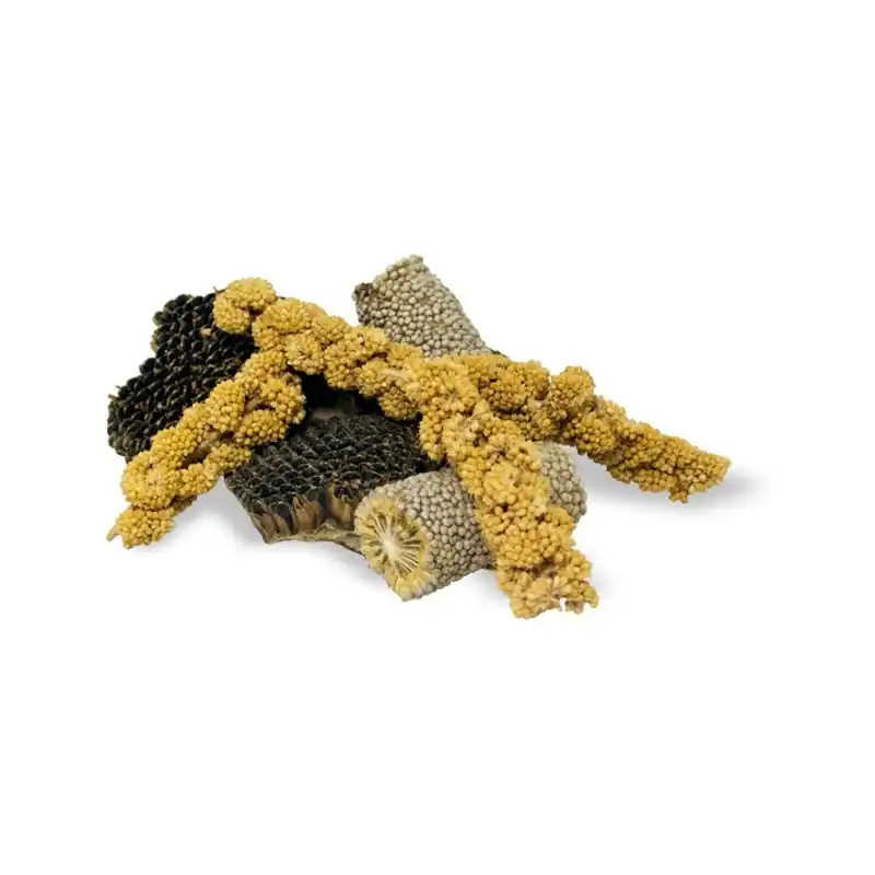 Bestseller JR Farm Knabbelstukjes 50 Gram