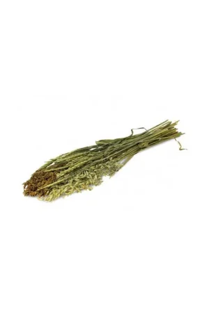 Dagaanbieding JR Farm Zomer-Oogst 80 Gram