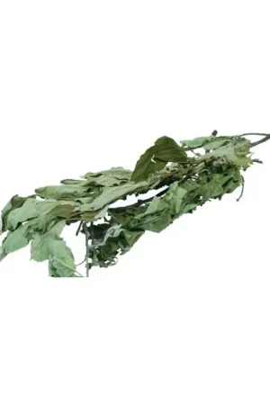 Shop Nu JR Farm Appelboom-Oogst 40 Gram