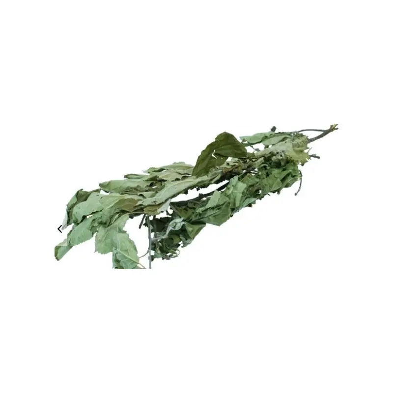 Shop Nu JR Farm Appelboom-Oogst 40 Gram