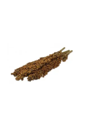 JR Farm Dari Kolf 100 Gram Dagaanbieding