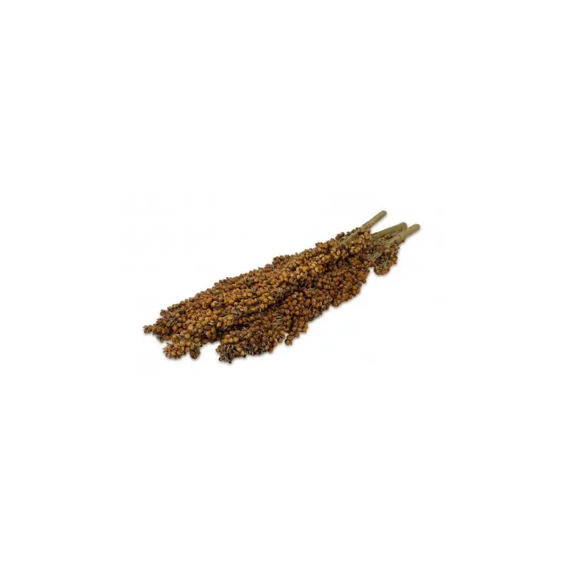 JR Farm Dari Kolf 100 Gram Dagaanbieding