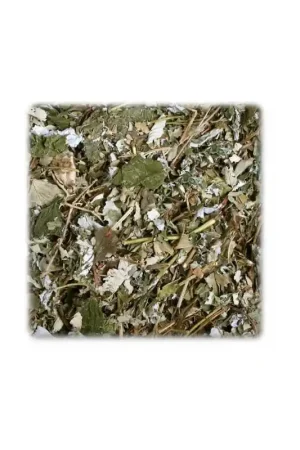 Merkproduct JR Farm Bessen en Bladeren 100 Gram