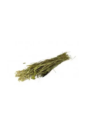 JR Farm Weide-Oogst 80 gram Nu Kopen