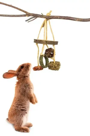 Bestel Nu JR Farm Snack Mobiel voor Knaagdieren en Konijnen