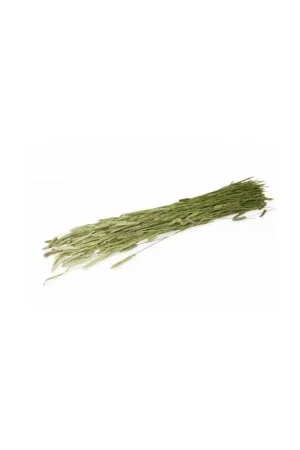 JR Farm Timothy-Oogst 80 gram Finale Uitverkoop