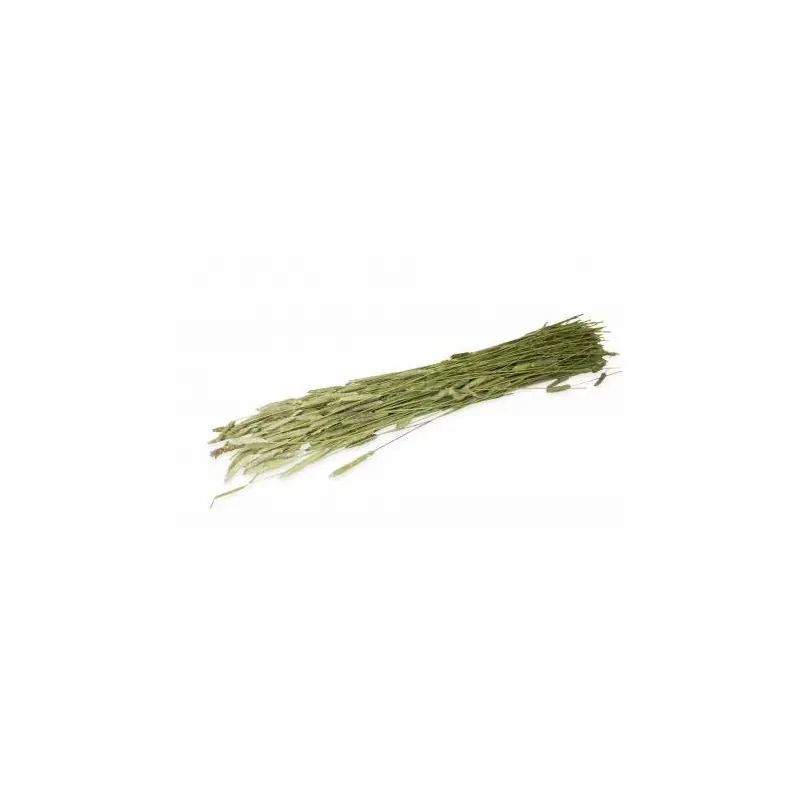 JR Farm Timothy-Oogst 80 gram Finale Uitverkoop