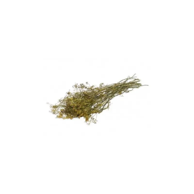 Fabrieksprijs JR Farm Dille-Oogst 80 Gram
