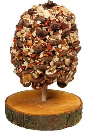 Bestseller JR Farm Fruitboom 270 gram