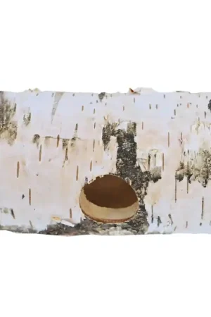 Shop Nu Knaagdier Berkenrol Small 1 Gaats ca. 10x20,5x11 cm
