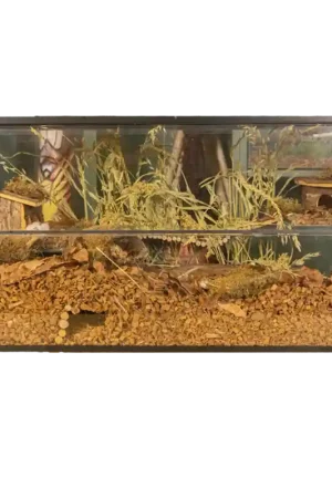 Hamsterscaping Terrarium 100x40x50 cm Populair