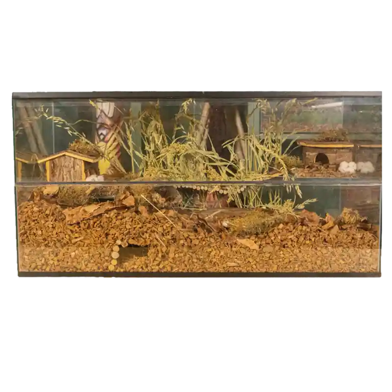 Hamsterscaping Terrarium 100x40x50 cm Populair