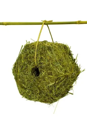 Hete Deal JR Farm Hooiblok Zeshoekig 400 Gram