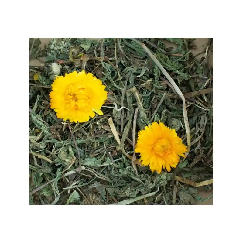 Direct Beschikbaar JR Farm Grainless Plus Teunisbloem en Paardenbloem 100 Gram