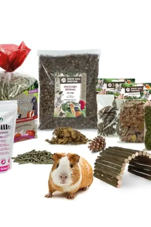Seizoensaanbieding Starterskit Cavia