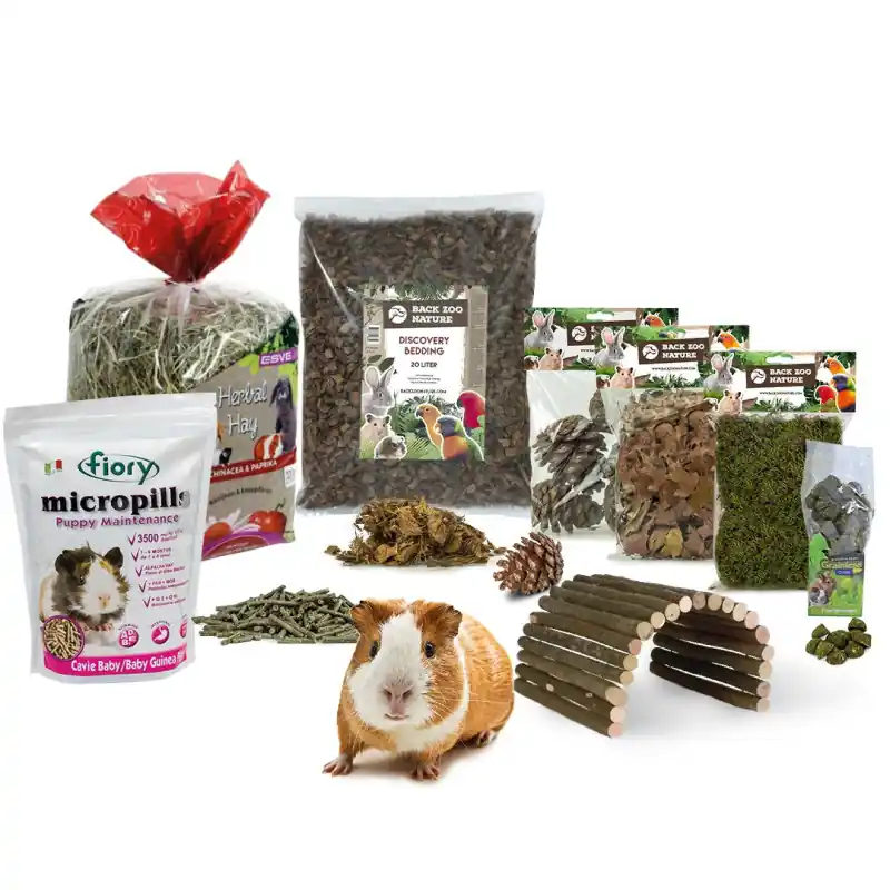 Seizoensaanbieding Starterskit Cavia