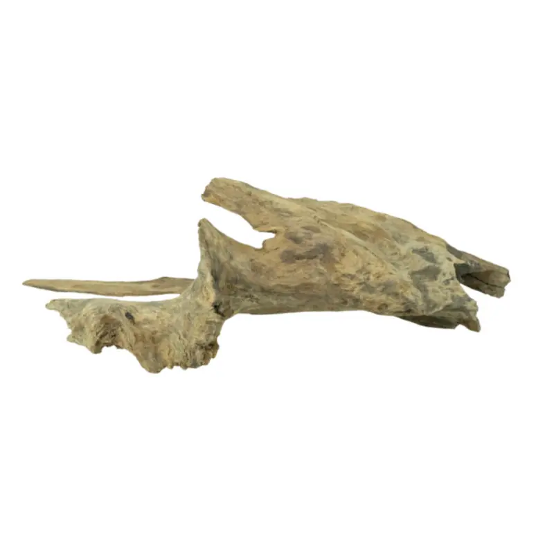 Back Zoo Nature Jagged Wood Small Snelle Levering