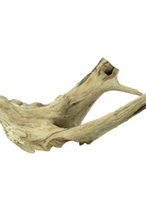Alleen Vandaag Back Zoo Nature Jagged Wood Medium