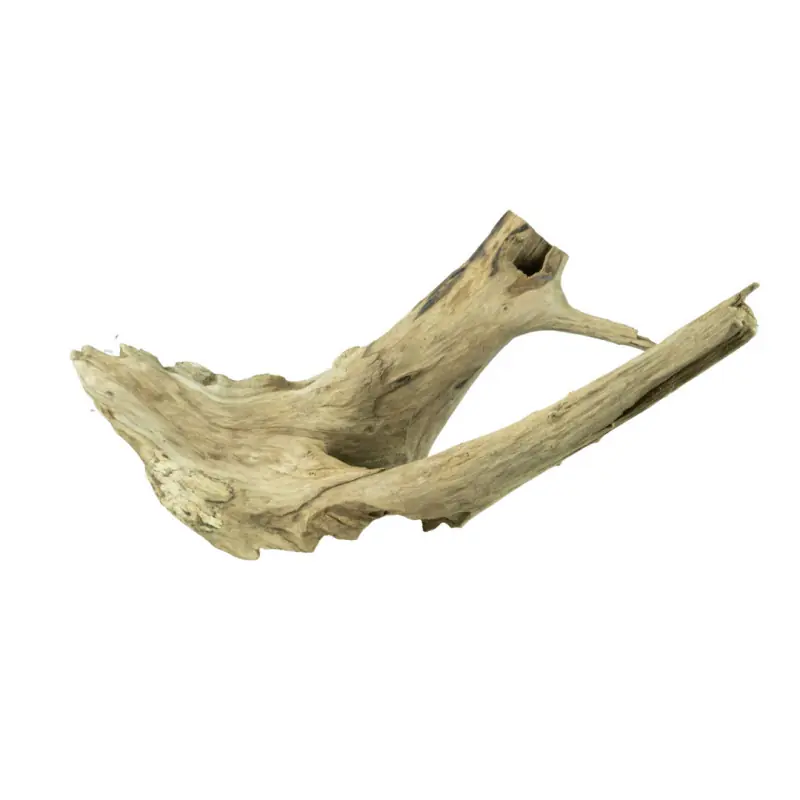 Alleen Vandaag Back Zoo Nature Jagged Wood Medium