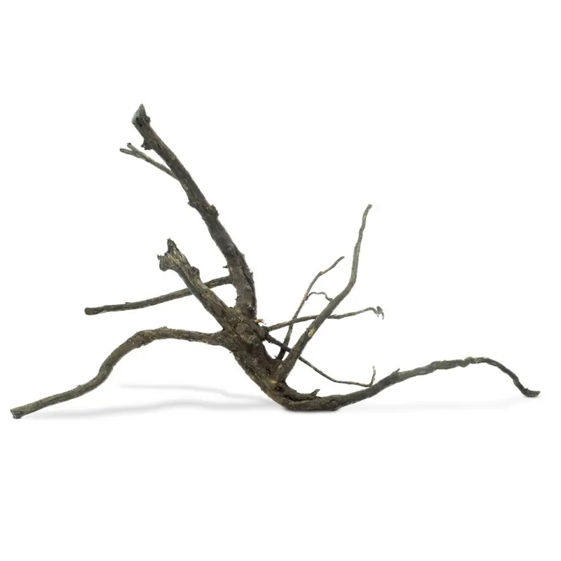 Veilige Betaling Back Zoo Nature Tiblund Medium
