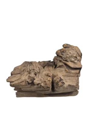 Direct Beschikbaar Back Zoo Nature Rough Wood Small