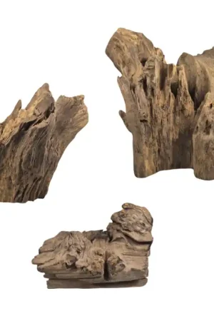 Back Zoo Nature Rough Wood Medium Actieprijs