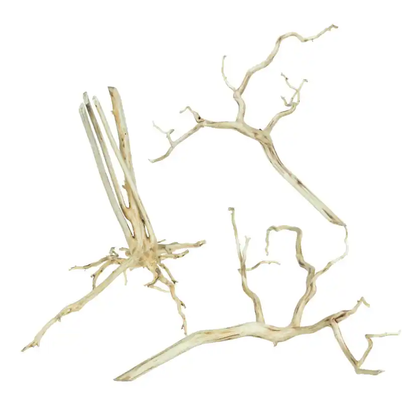 Lage Kosten Back Zoo Nature Spiderwood Medium