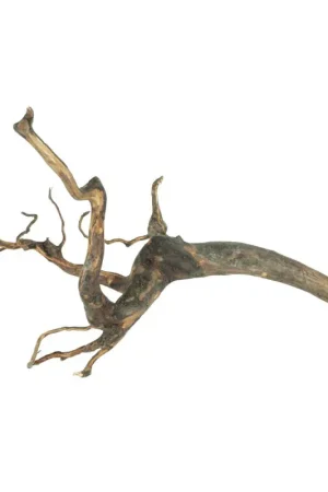 Back Zoo Nature Moorwood Large Must-Have