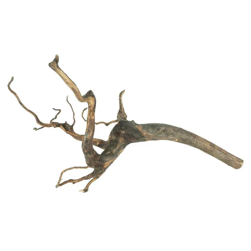 Back Zoo Nature Moorwood Large Must-Have