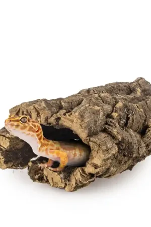 Back Zoo Nature Corky Tube Mini Favoriet