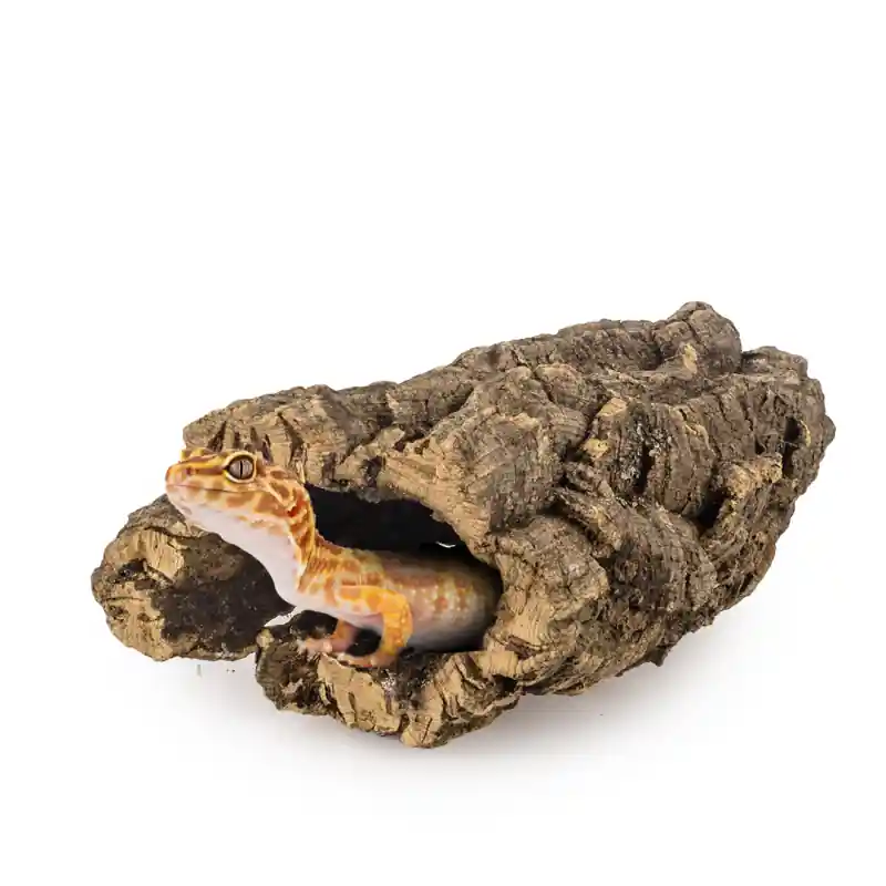 Back Zoo Nature Corky Tube Mini Favoriet