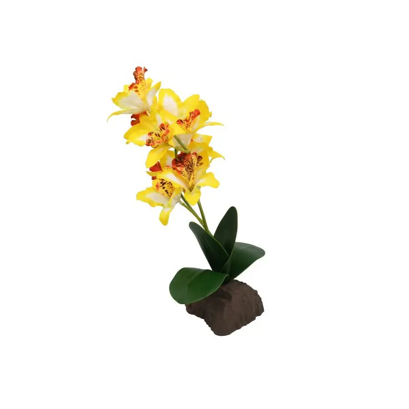 Lucky Reptile Orchidee Large Geel 35 cm Rechtstreeks Van De Fabrikant