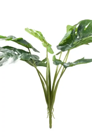 Lucky Reptile Monstera 60 cm Weekendaanbieding