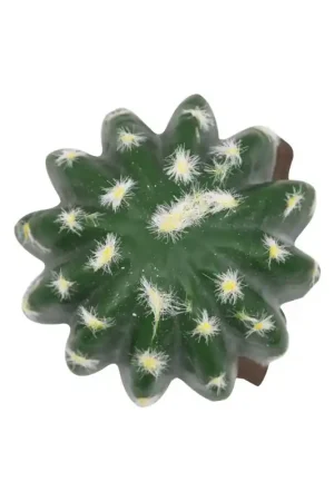 Lucky Reptile Bal Cactus Exclusieve Aanbieding