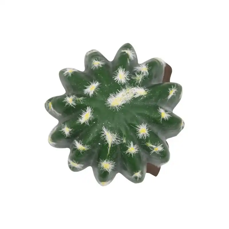 Lucky Reptile Bal Cactus Exclusieve Aanbieding