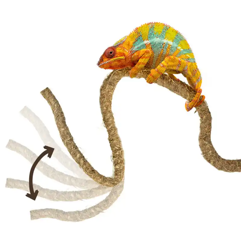 Back Zoo Nature Flexi Vine 210 cm Actieprijs