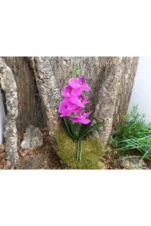 Lucky Reptile Orchidee Small Paars 25 cm Finale Uitverkoop