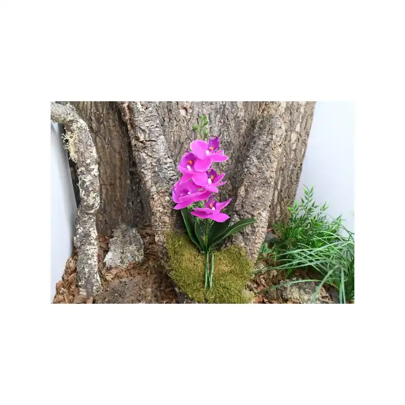 Lucky Reptile Orchidee Small Paars 25 cm Finale Uitverkoop