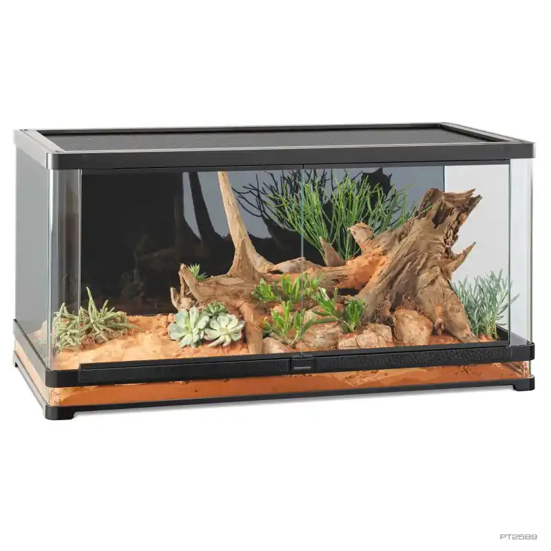 Premium Exo Terra Vista 120XL Panoramisch Terrarium 120x60x60 cm