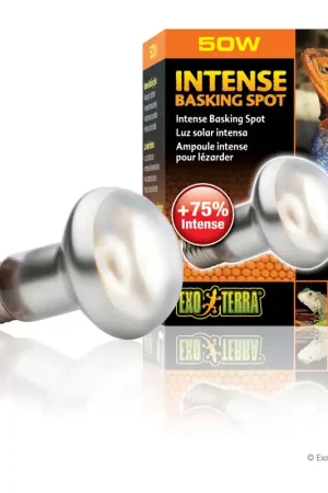 Lage Kosten Exo Terra Intense Basking Spot Lamp 50 watt