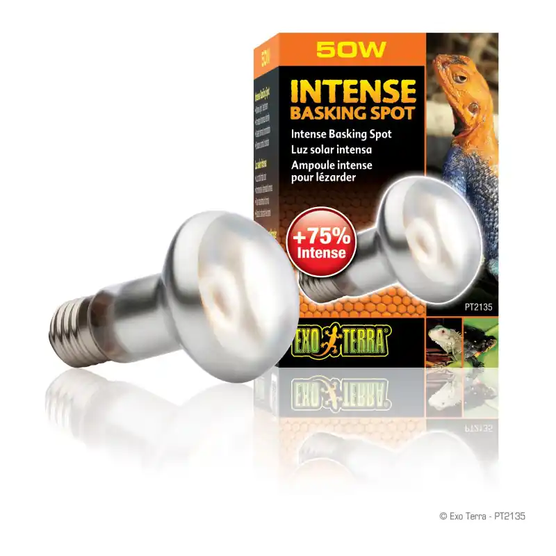 Lage Kosten Exo Terra Intense Basking Spot Lamp 50 watt