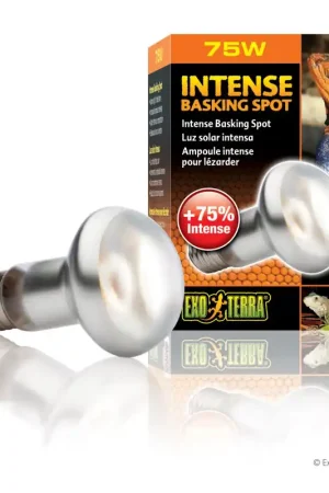 Nieuw Exo Terra Intense Basking Spot Lamp 75 watt