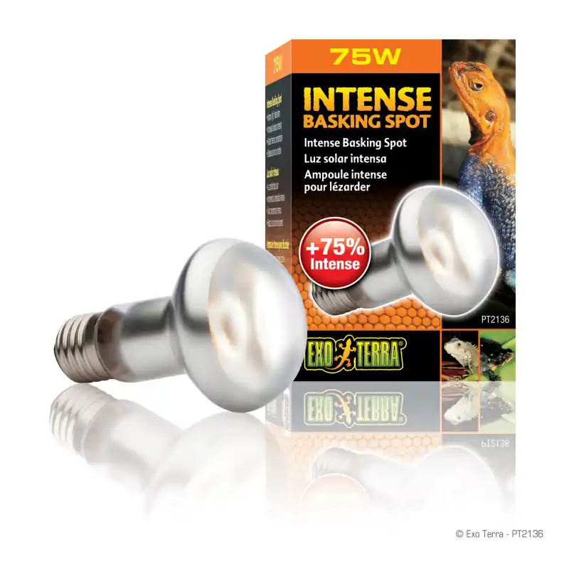 Nieuw Exo Terra Intense Basking Spot Lamp 75 watt