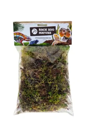 Back Zoo Nature Spagnum Mos Beperkt Aanbod